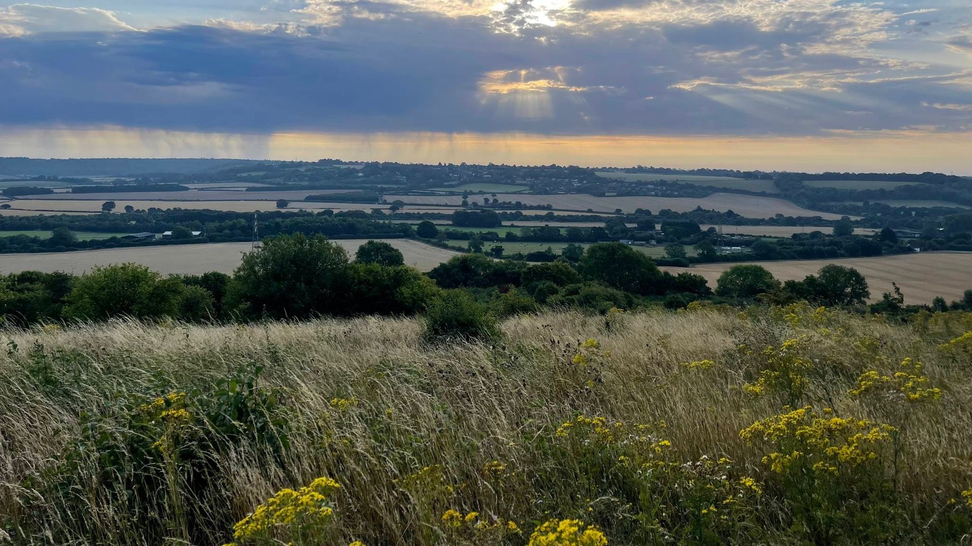 Lodge Hill